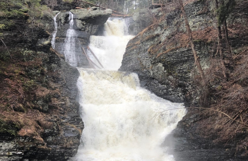 Waterfall at The Settlers Inn.