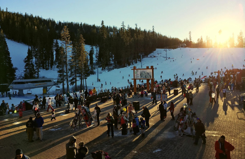 Ski at Tahoe Valley Lodge.