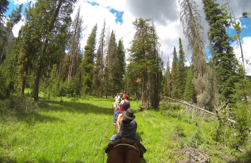 Trail riding at Shoshone Lodge & Guest Ranch.