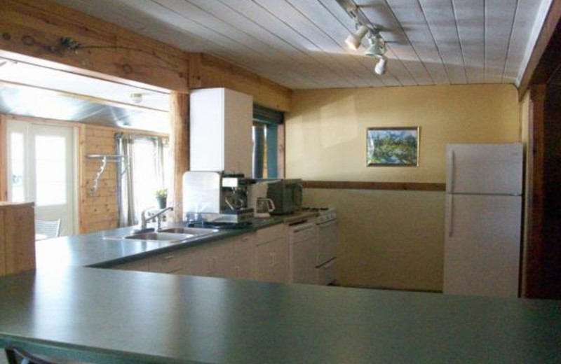 Condo Interior at Lady Bug Lodge