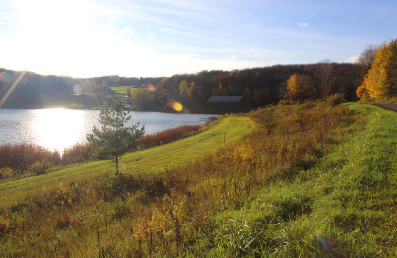 Scenic view at The Woods At Bear Creek Glamping Resort.