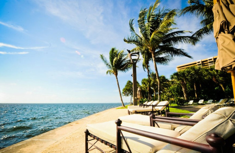 Relax by the water at The Grove Isle Hotel & Spa.