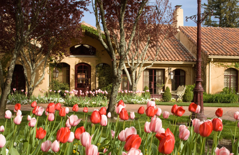 Exterior view of Vintners Inn.