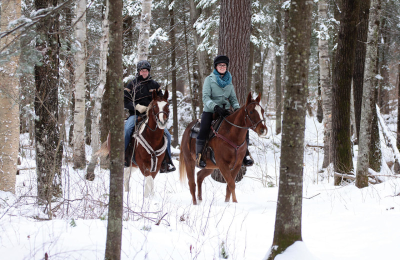 Horseback riding at Sir Sam's Inn & Spa.