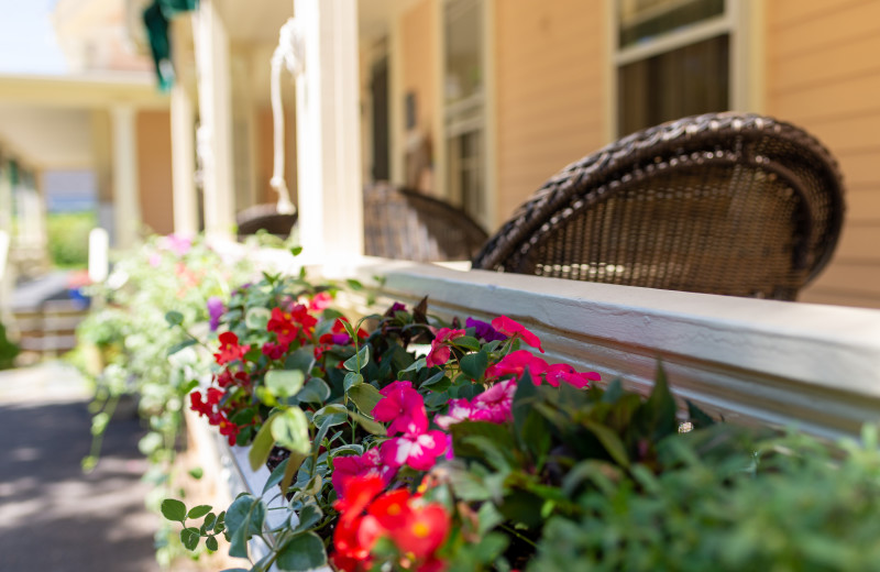 Porch at Addison Choate.