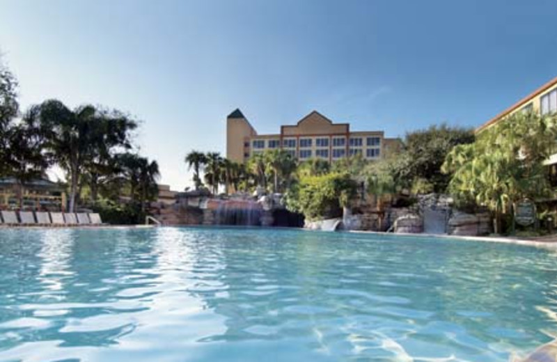 Radisson Resort Parkway Orlando Disney Maingate Orlando Kissimmee Fl Resort Reviews Resortsandlodges Com Radisson Resort Parkway Orlando Disney Maingate Orlando Kissimmee Fl Resort Reviews Resortsandlodges Com