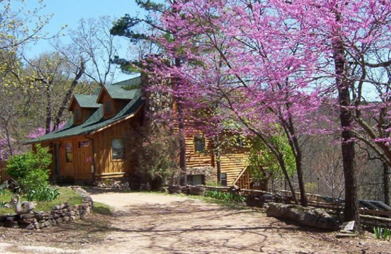 Cabin Exterior at Red Bud Valley Resort 