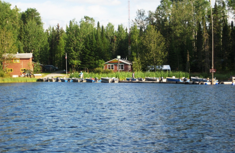 Lakeside Cabins at Woman River Camp