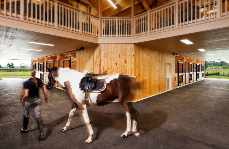 Horse riding at Salamander Resort & Spa.