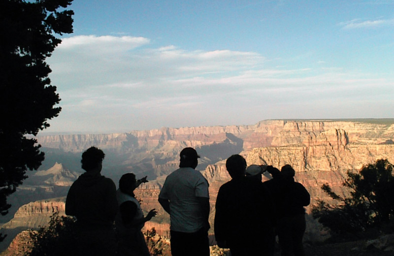 Viewing Grand Canyon at Grand Canyon Under Canvas.
