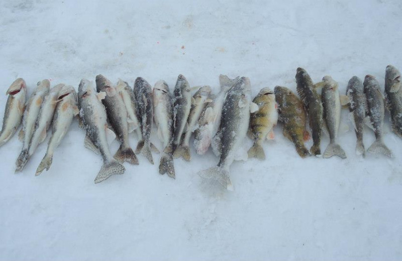 Ice fishing at Angle Outpost Resort & Conference Center.