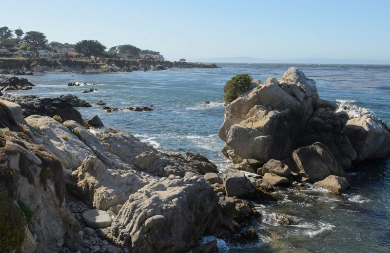 Coast line at Inn by the Bay Monterey.