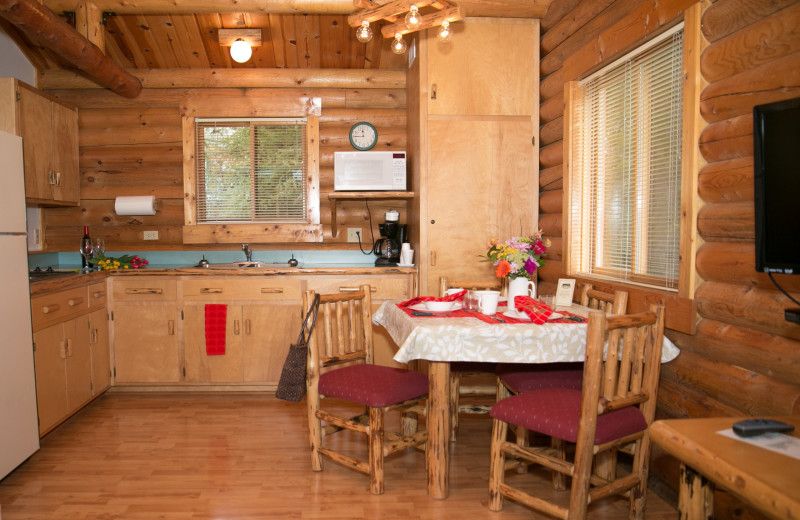 Cabin kitchen at North Forty Resort.