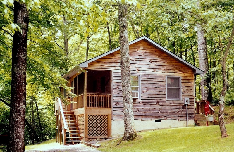 Ash Grove Mountain Cabins Camping Brevard Nc Resort Reviews