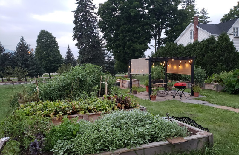 Garden at Albergo Allegria.