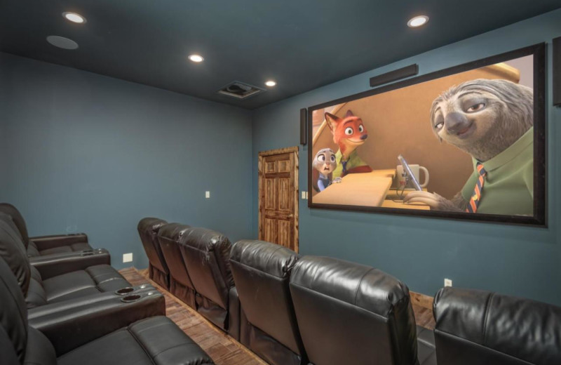 Rental theater at Stony Brook Cabins LLC.