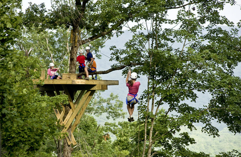 Zip lining at Buffalo Outdoor Center.