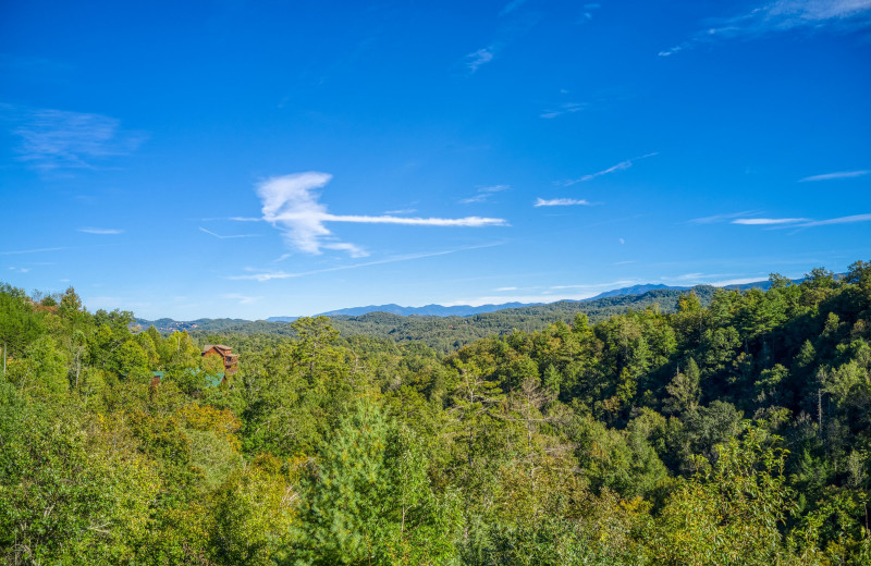 View at American Patriot Getaways - Great View Lodge.