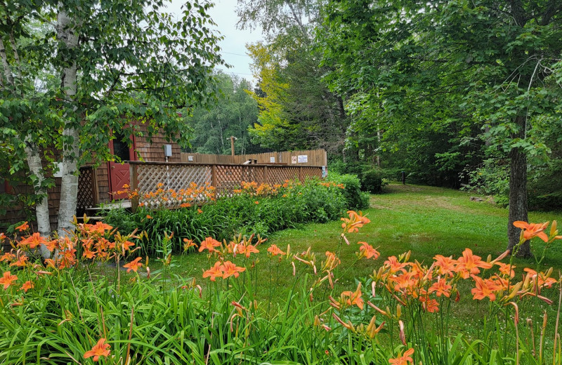 Sauna and hot tub at The Birches Resort.