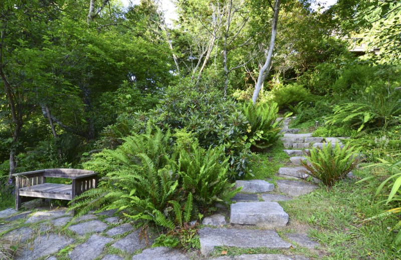 Rental garden at Redwood Coast Vacation Rentals