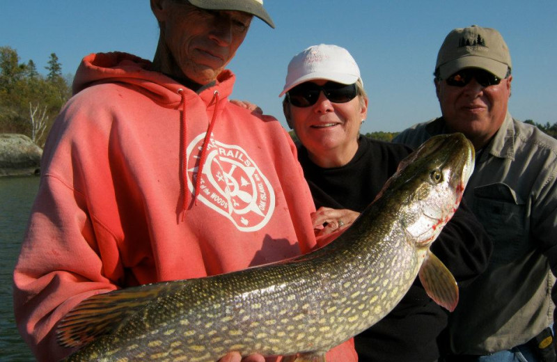 Muskie fishing at Angle Inn Lodge.