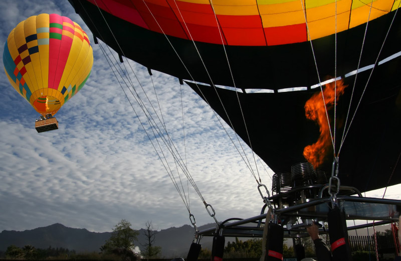 Hot air balloon at Cottage Grove Inn.