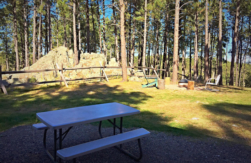 Cabin picnic area at Silver Mountain Resort and Cabins.