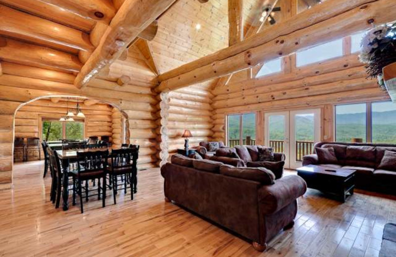 Vacation rental living room at Stony Brook Chalets.