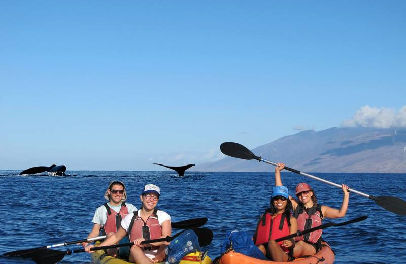 Kayaking and whale watching at Lumeria Maui.