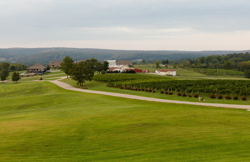 Exterior view of Chaumette Vineyards