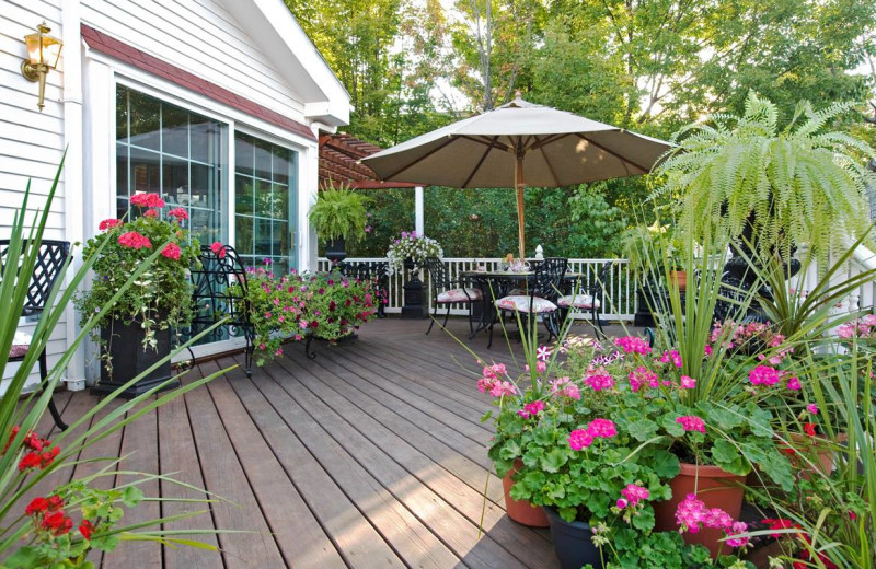 Patio at Beds on Clouds.