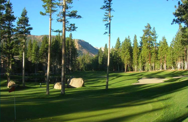 Golf course at Mammoth Property Reservations.