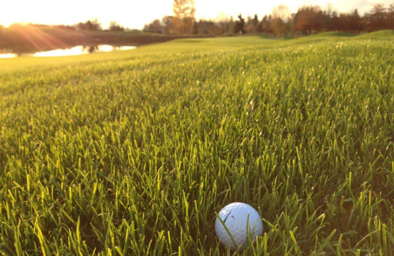 Golf packages available at The Woodland Inn.