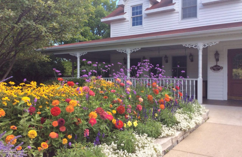 Garden at High Point Inn.