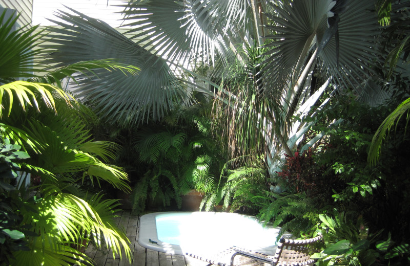Hot tub at Key West Bed & Breakfast.