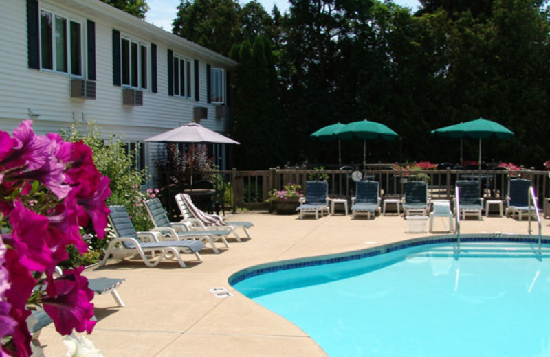 Outdoor Pool at the Village Green Lodge