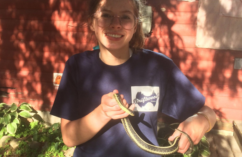 Garter snake at Driftwood Resort.