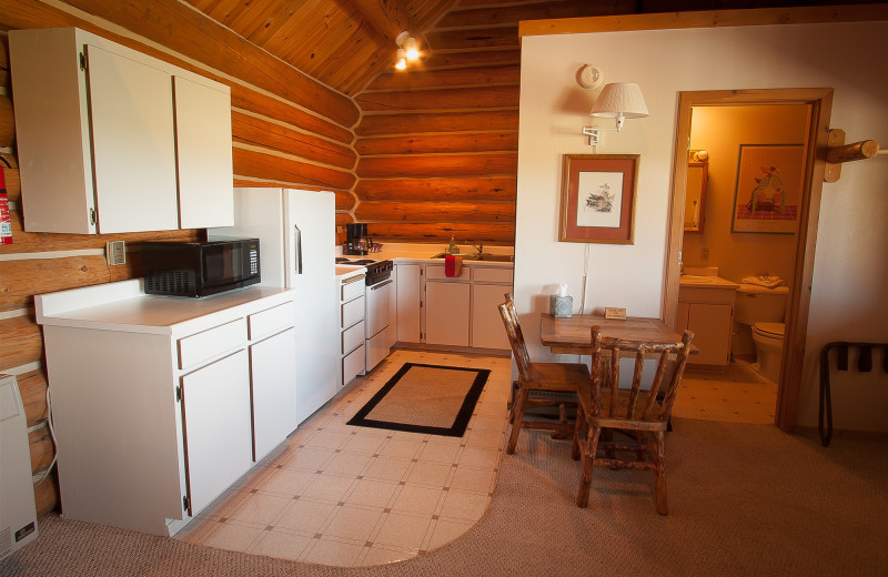 Cabin kitchen at Mountain Village Resort.