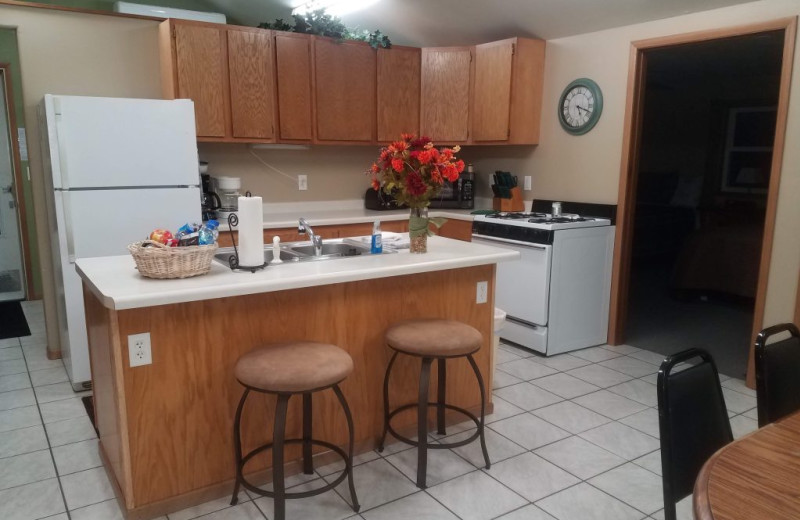 Cabin kitchen at Northern Lights Resort.