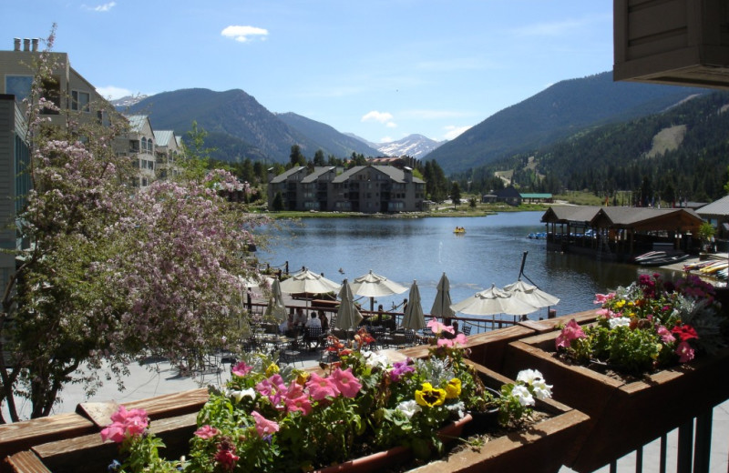 View from SummitCove.