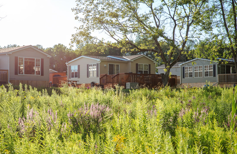 Bellmere Winds Resort (Keene, Ontario) Resort