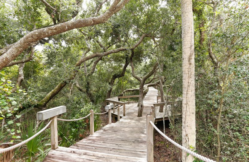 Rental boardwalk at Amelia Rentals and Management Services.