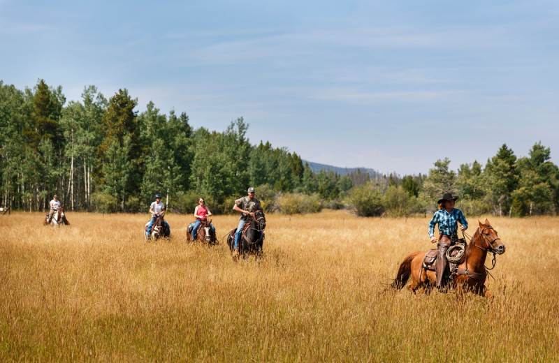 Horseback riding at Rawah Ranch.