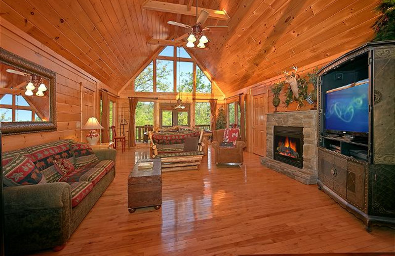 Cabin living room at Aunt Bug's Cabin Rentals, LLC.