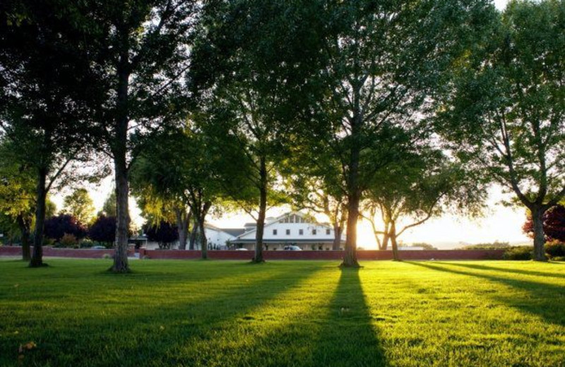 The Grand Lawn of the SummerWood Inn, with a view of SummerWood Winery. (across the street on Arbor Road)