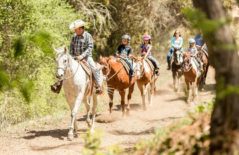 Horseback riding at Terranea Resort.