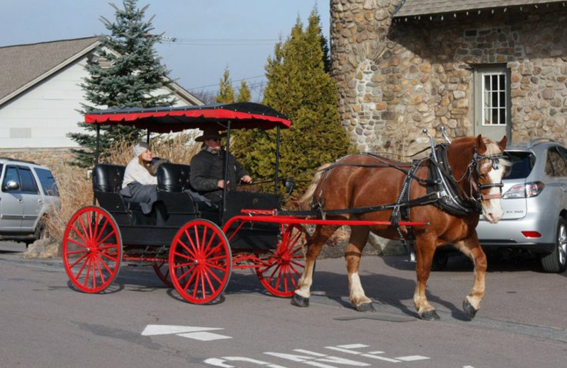 Horse carriage rides at The Inn at Pocono Manor.