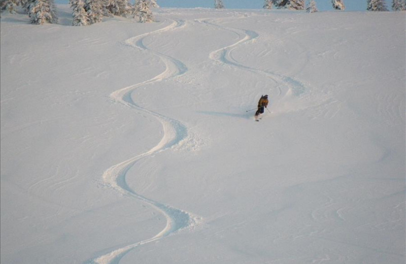 Skiing at Steamboat Vacation Rentals.