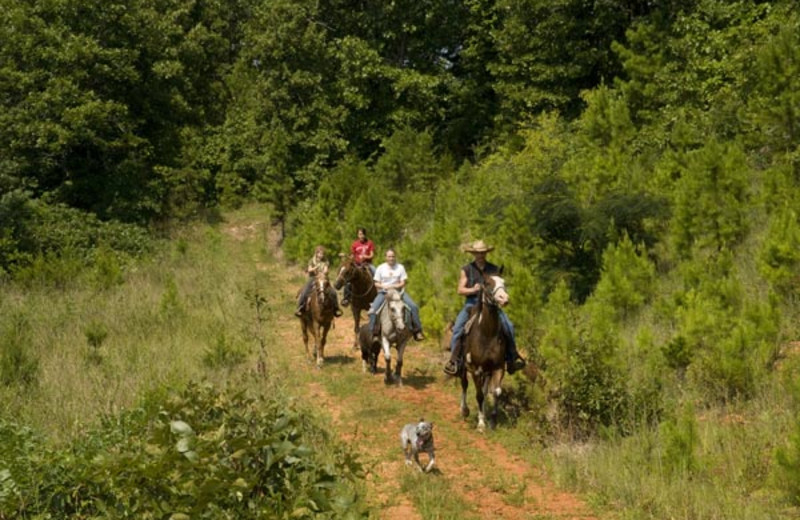 Horseback riding at Buffalo River Outfitters.
