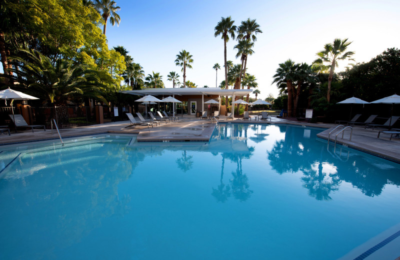 Outdoor pool at Doubletree Hotel Tucson at Reid Park.